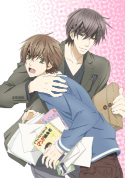 Постер Лучшая в мире первая любовь OVA / Sekai-ichi Hatsukoi OVA