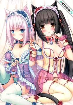 Постер Кошачий рай / NekoPara