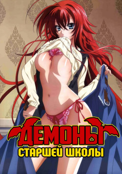 Постер Демоны старшей школы [ТВ-1] / High School DxD