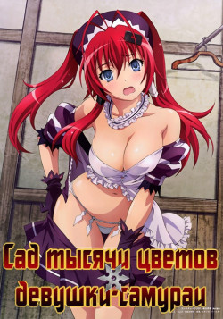 Постер Сад тысячи цветов: Девушки-самураи [ТВ-1] / Hyakka Ryouran Samurai Girls