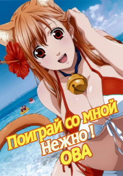 Постер Поиграй со мной нежно! OVA / Asobi ni Iku yo! OVA