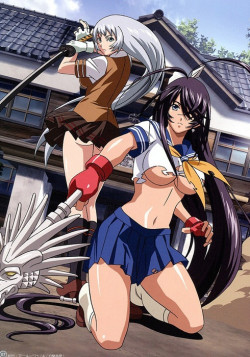 Постер Школьные войны: Судьба Дракона (сезон 2) / Ikkitousen: Dragon Destiny