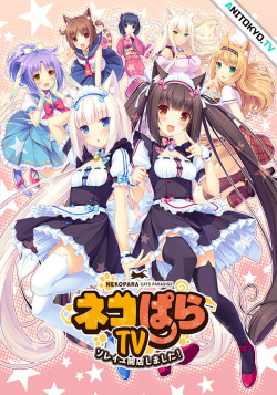 Постер Кошачий рай ТВ / Nekopara TV