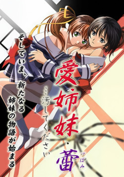 Постер Распутные сестры: Цветочки / Ai Shimai Tsubomi... Kegashite Kudasai